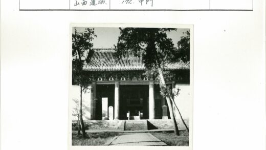 古建华丽屋顶与林荫步道.jpg