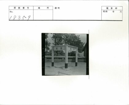 古建四柱庭院绿荫.jpg