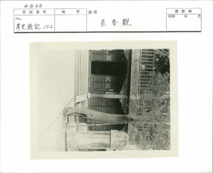 古建木门大树石景.jpg