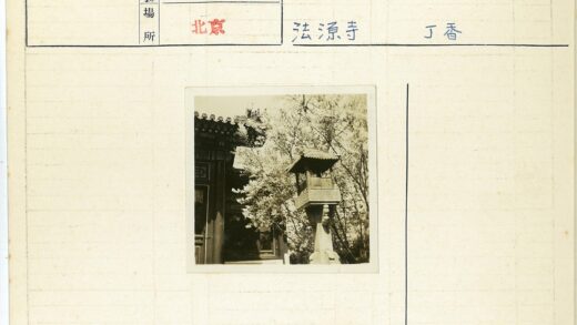 古建灯笼林间景.jpg
