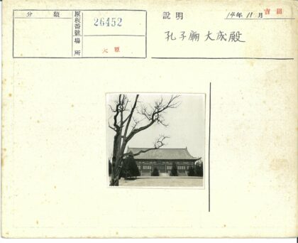 古建瓦顶与秃树晴空景色.jpg