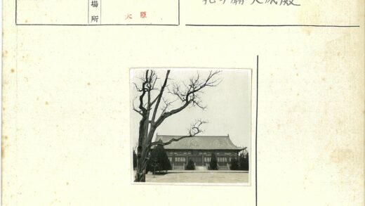 古建瓦顶与秃树晴空景色.jpg