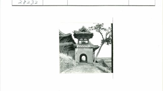 古建筑与曲树景观.jpg