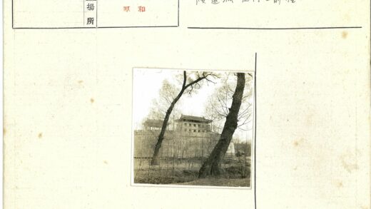 古建筑前弯曲树木冬景.jpg