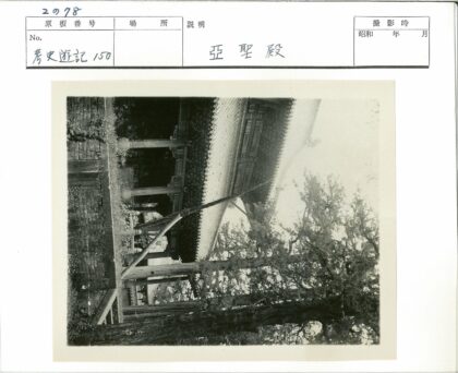 古建筑华丽屋顶绿树环绕.jpg