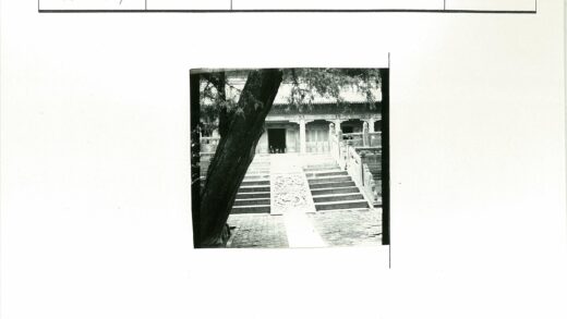 古建筑华丽楼梯与大树景观.jpg
