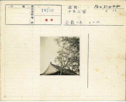 古建筑屋顶与绿树相映.jpg