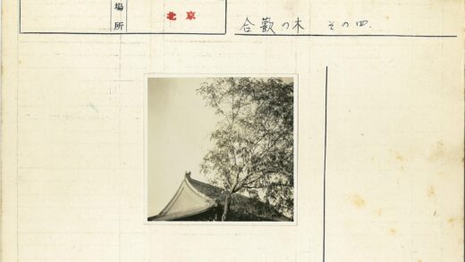 古建筑屋顶与绿树相映.jpg