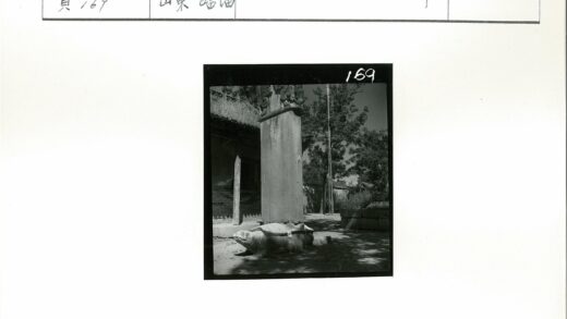 古建筑旁石柱龟雕景观.jpg