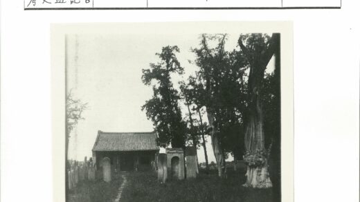 古建筑瓦顶绿树墓碑小径.jpg