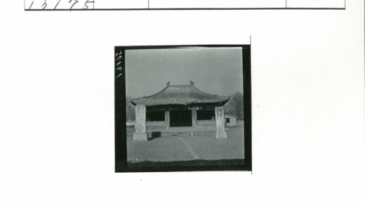 古建筑石柱与枯树黑白照.jpg