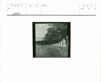 古建筑石栏小径绿草大树景.jpg