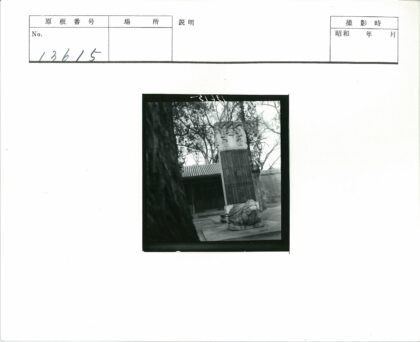 古建筑石碑雕刻与围墙景观.jpg