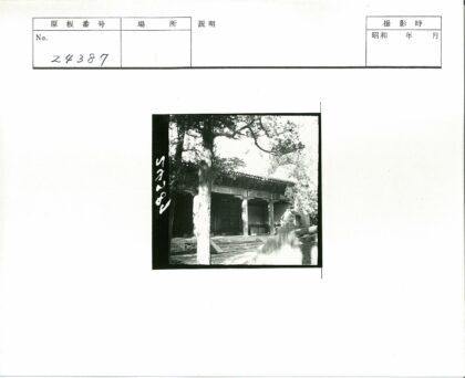 古建筑石阶入口绿树环绕.jpg