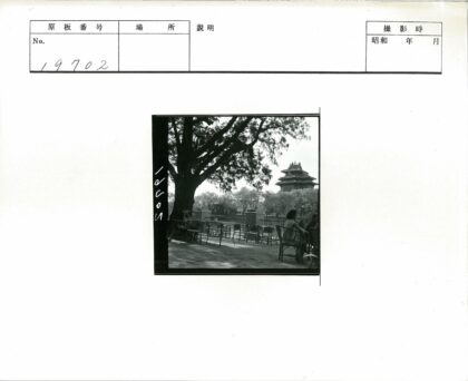 古建筑绿荫下休憩时光.jpg