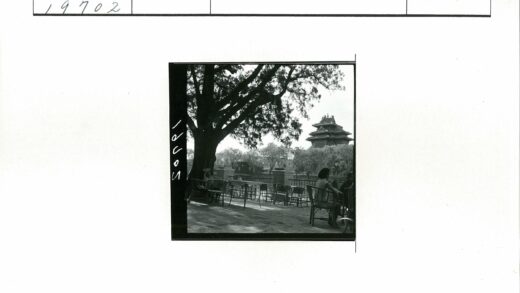古建筑绿荫下休憩时光.jpg
