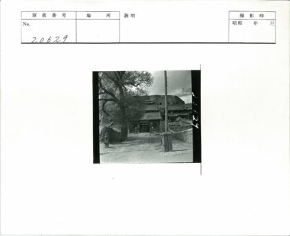 古建筑群石像大树山坡景观.jpg