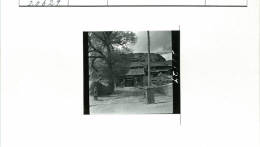 古建筑群石像大树山坡景观.jpg