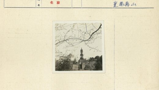古建筑高塔与春枝景观.jpg