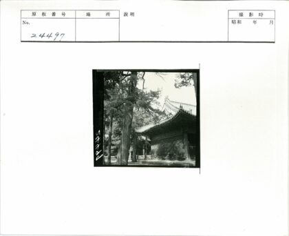 古建绿树环绕屋顶瓦片景观.jpg