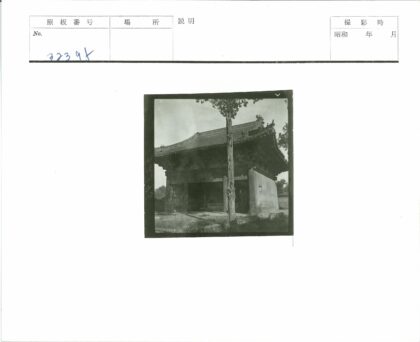 古建绿树蓝天景.jpg