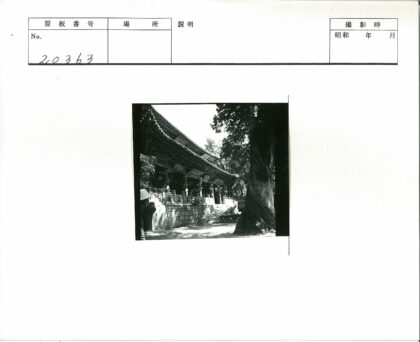 古建绿荫石径人物景.jpg