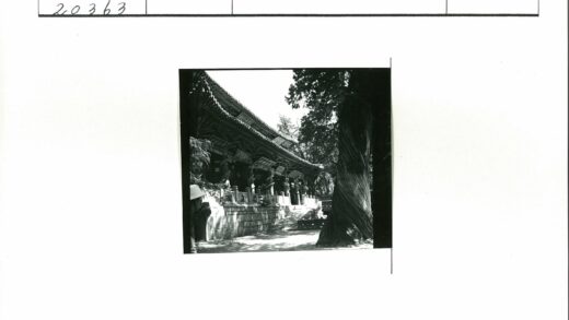 古建绿荫石径人物景.jpg