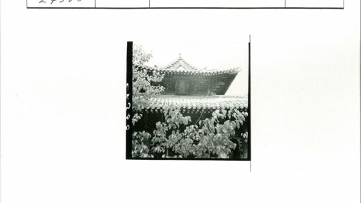古建隐现林间黑白照.jpg