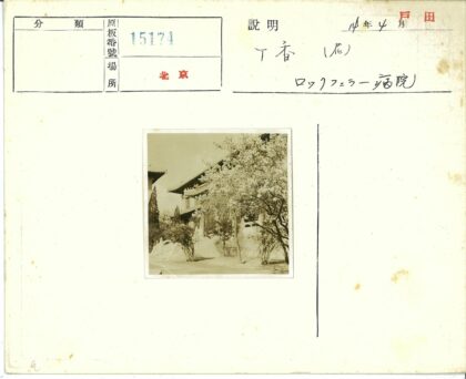 古建飞檐花树掩映.jpg