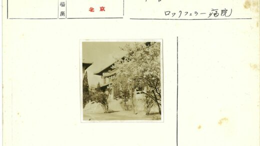 古建飞檐花树掩映.jpg