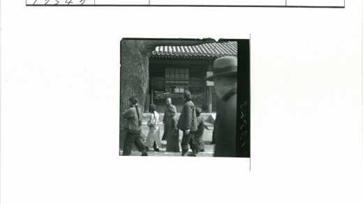 古树传统建筑群像.jpg
