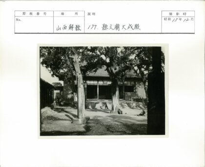 古树庭院与传统瓦屋.jpg