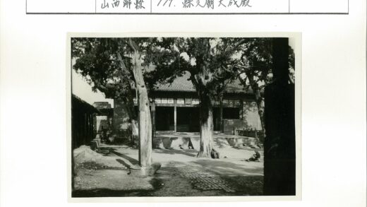古树庭院与传统瓦屋.jpg
