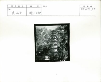古树环绕多层宝塔.jpg