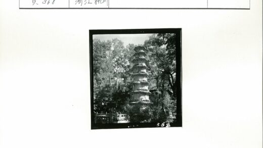 古树环绕多层宝塔.jpg
