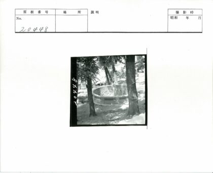 古树环绕的圆形石建筑.jpg