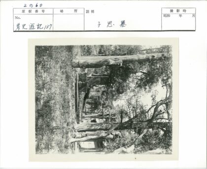 古树环绕的秘境石景.jpg