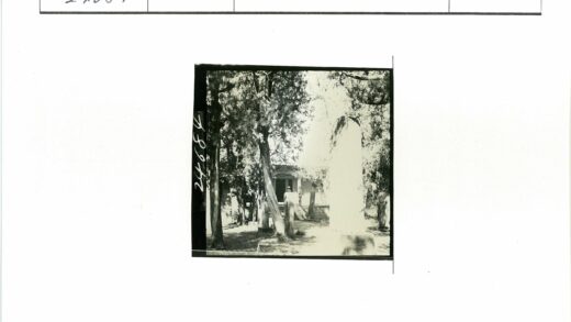 古树石柱与传统建筑风景.jpg