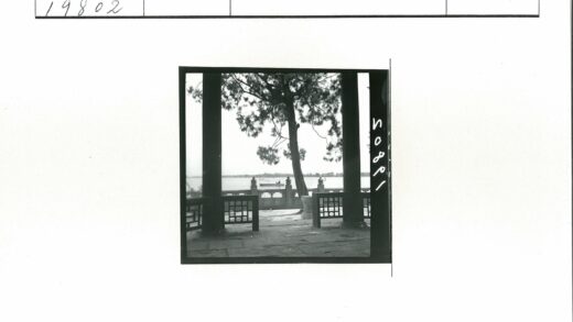古树石柱映衬水上孤船.jpg