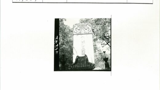 古树石碑雕刻艺术.jpg