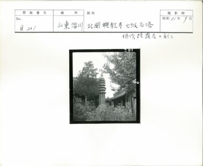 古石塔与绿荫传统建筑景观.jpg