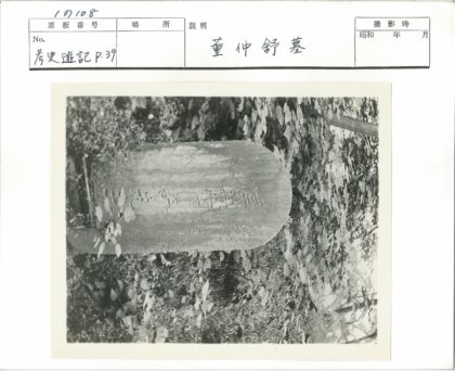 古老墓碑与自然植被.jpg