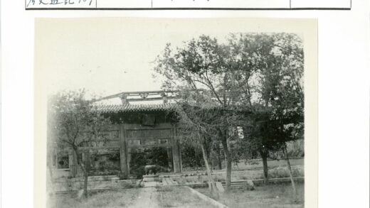 古老树丛中的神秘大门.jpg
