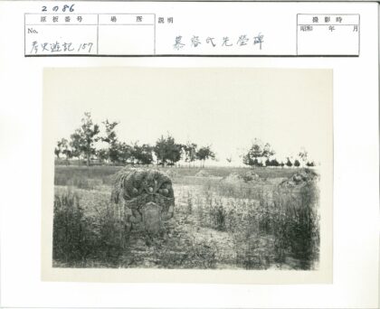 古老石像与自然树林景观.jpg