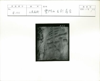 古老石墙岩石雕刻与自然植被.jpg