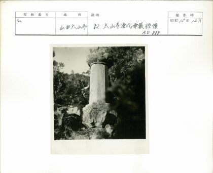 古老石柱与密林自然奇观.jpg