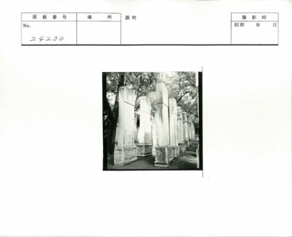 古老石柱与林间光影.jpg