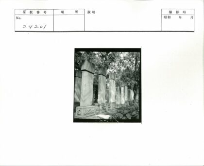 古老石柱与森林景观.jpg