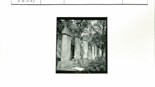 古老石柱与森林景观.jpg