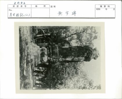 古老石柱与自然森林景观.jpg